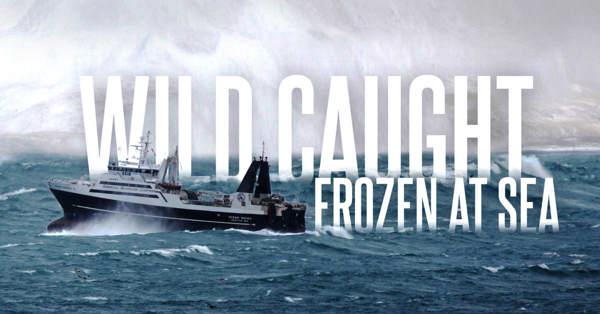 Vessels And Crew Advanced Technology American Seafoods